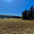zdjęcie nr 