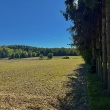 zdjęcie nr 