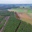 zdjęcie nr 