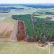zdjęcie nr 