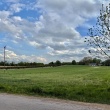 zdjęcie nr 