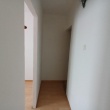 zdjęcie nr 