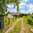 zdjęcie nr 