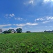 zdjęcie nr 