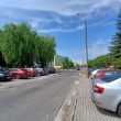 zdjęcie nr 