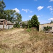 zdjęcie nr 