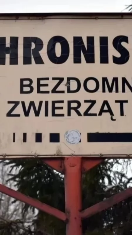 Wybrano nowego kierownika schroniska w Pawłowie koło Ciechanowa