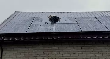 Bocian utknął pomiędzy panelami. Niecodzienna interwencja strażaków pod Ciechanowem [zdjęcia]