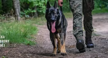 Simba wzmocnił szeregi ciechanowskiej brygady [zdjęcia]