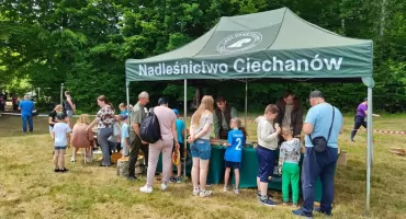 Wolny etat w ciechanowskim nadleśnictwie. Znamy wysokość wynagrodzenia