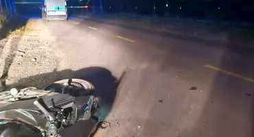 Dziki wbiegły na drogę. Doszło do wypadku z motocyklem