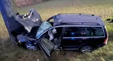 Poranny wypadek. Auto uderzyło w łosia