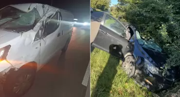 Trzy auta rozbite. Dwa groźne zdarzenia z udziałem łosi [zdjęcia]