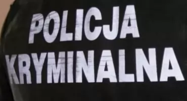 Ukradł 7 samochodów. Mieszkaniec powiatu ciechanowskiego w rękach policji