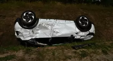 Ciechanowianie poszkodowani w wypadku. Jeleń wtargnął na drogę [zdjęcia]