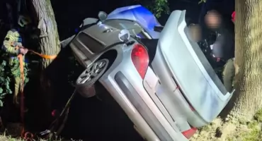 Rozbite auto pomiędzy drzewami. Kierująca chciała uniknąć zderzenia z sarną