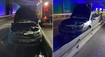 Nocne zderzenie auta z łosiem. Ranny kierowca, zwierzę zginęło