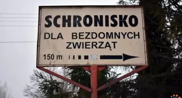 Jest nowa kierowniczka schroniska dla bezdomnych zwierząt w Pawłowie