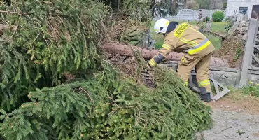 Uszkodzone dachy domów, połamane drzewa. Skutki silnego wiatru w powiecie ciechanowskim