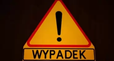 Dzik nagle wbiegł na drogę krajową. Groźne zdarzenie drogowe w Pęchcinie koło Ciechanowa