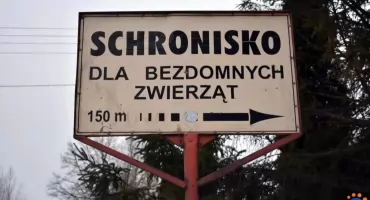 Wybrano nowego kierownika schroniska w Pawłowie koło Ciechanowa