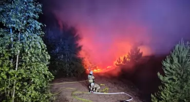 Pożar na terenie żwirowni w pobliżu Ciechanowa [zdjęcia]